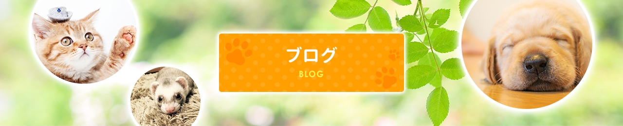blog_02