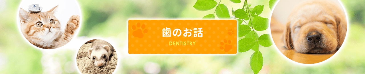dentistry_02