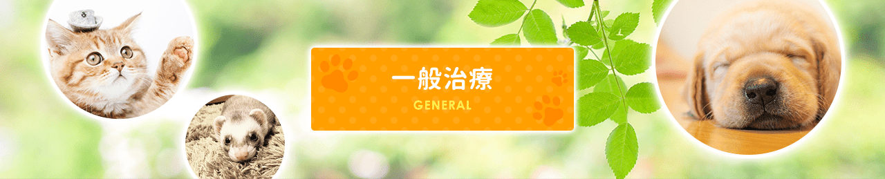 general_02